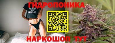 стаф Заводоуковск