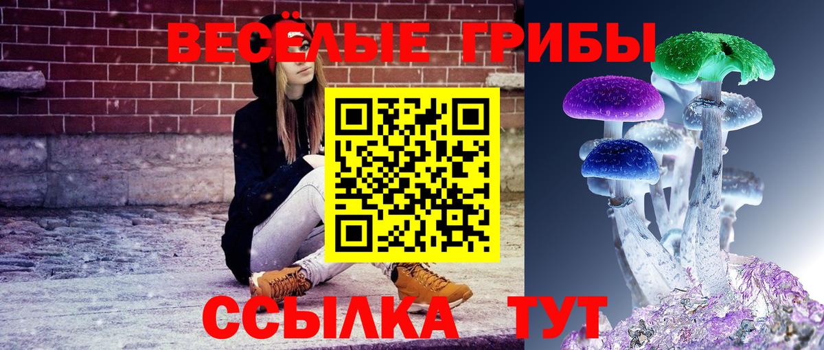 Миллерово  Псилоцибиновые грибы прущие грибы  Вход с VPN 